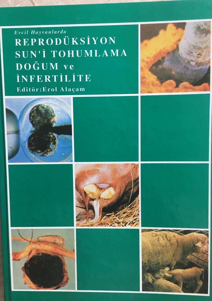 Reproduksiyon, Suni Tohumlama, Infertilite